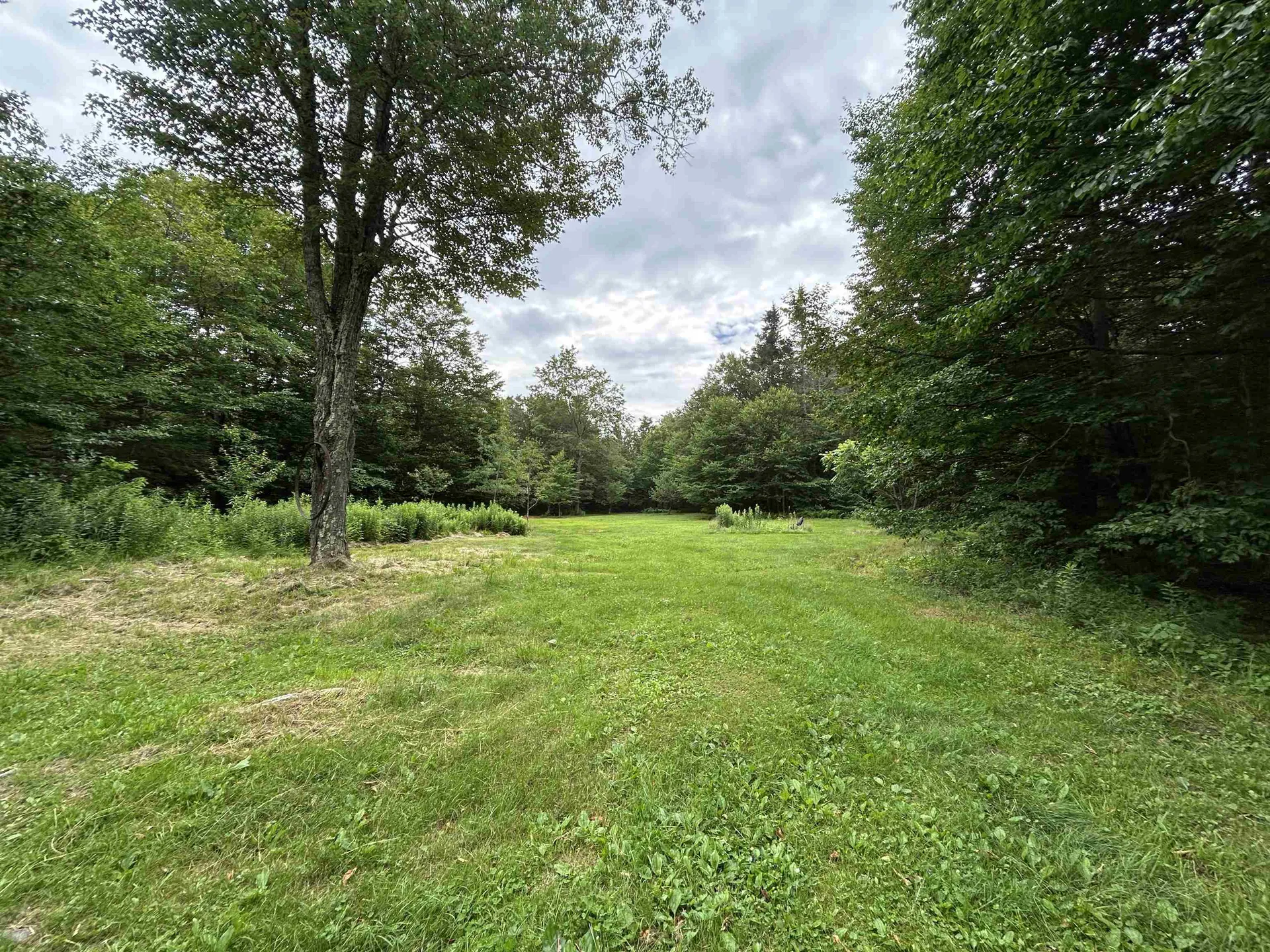 639 Wiley Mountain Road Readsboro VT 05350