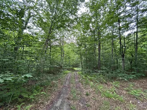 639 Wiley Mountain Road Readsboro VT 05350