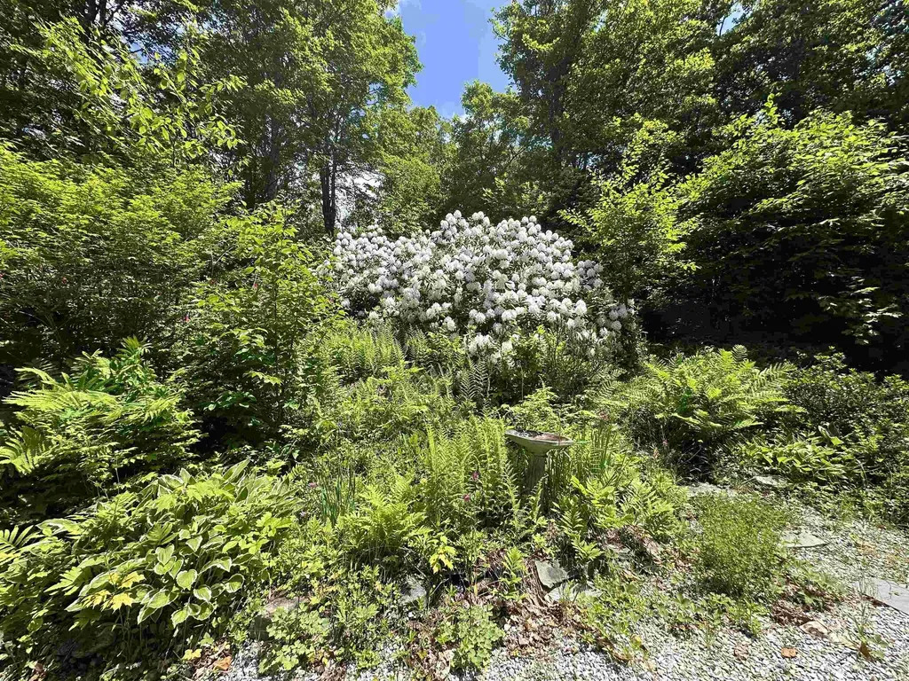 85 Slawson Road Weston VT 05161