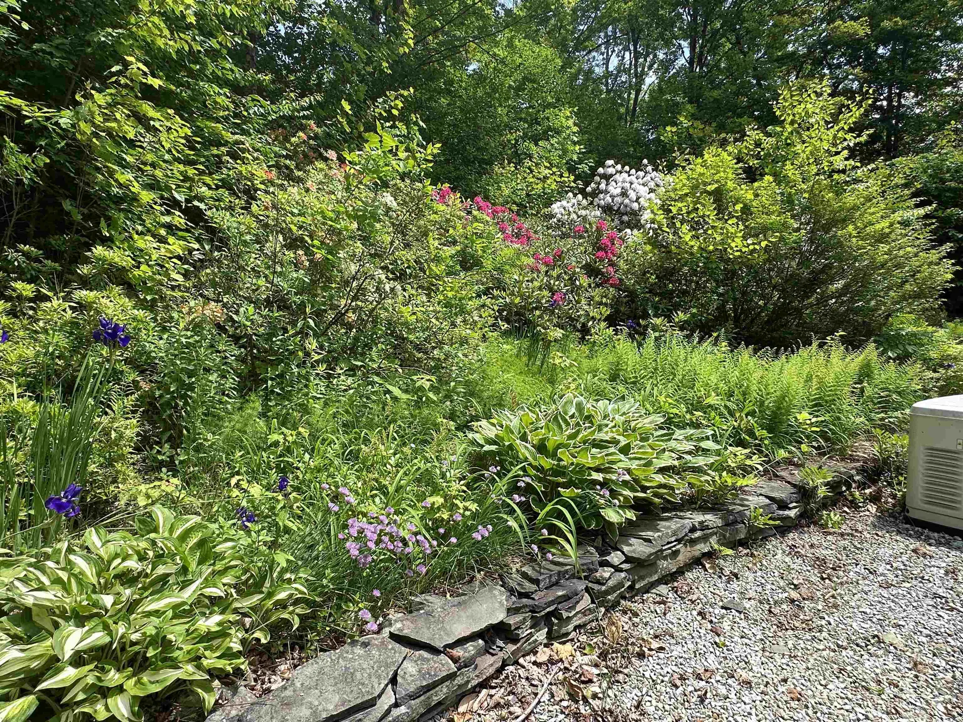 85 Slawson Road Weston VT 05161