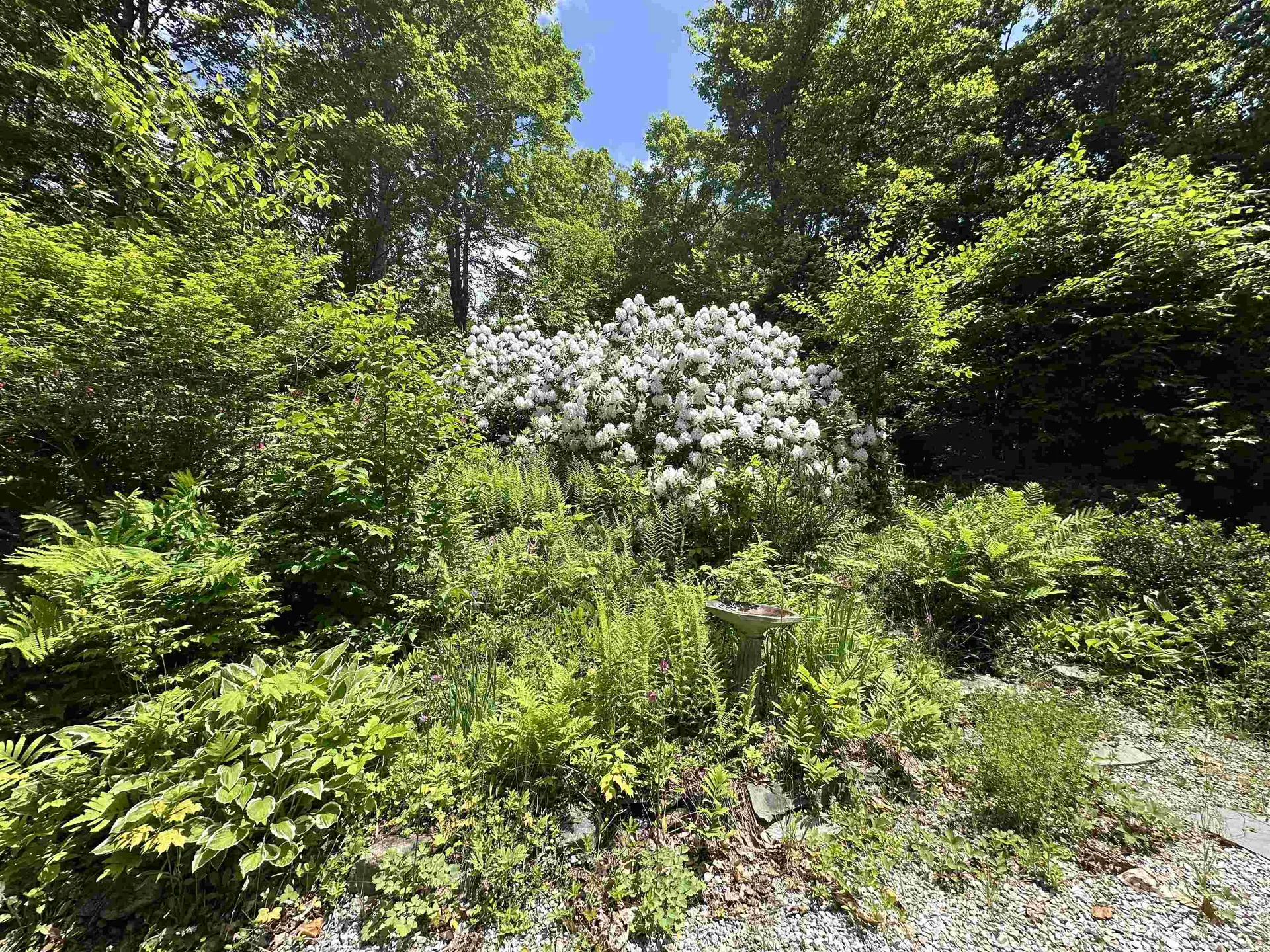 85 Slawson Road Weston VT 05161