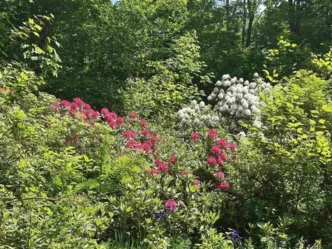 85 Slawson Road Weston VT 05161