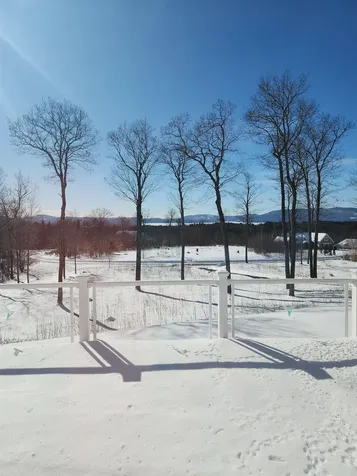 165 Ambrose Way Wolfeboro NH 03894-4013