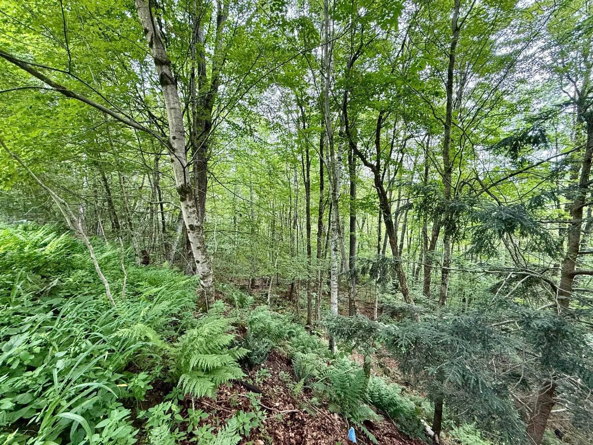 57 Alstead Hill Road Gilsum NH 03448