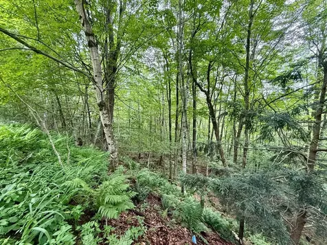 57 Alstead Hill Road Gilsum NH 03448