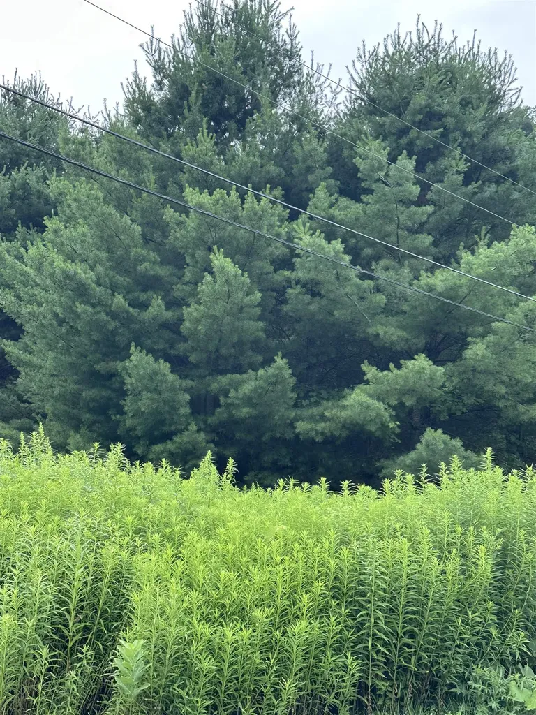 9 Rydon Acres Brandon VT 05753