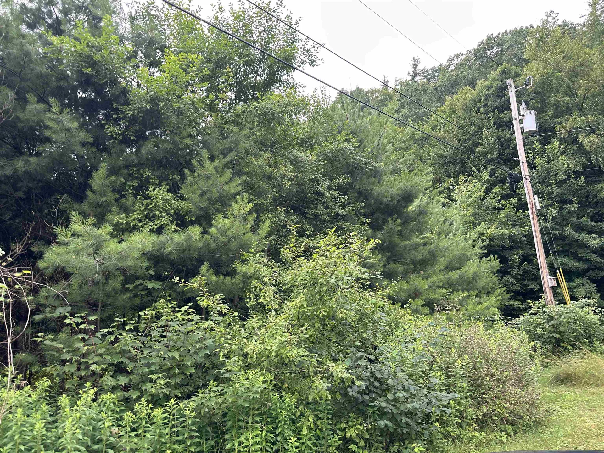 9 Rydon Acres Brandon VT 05753