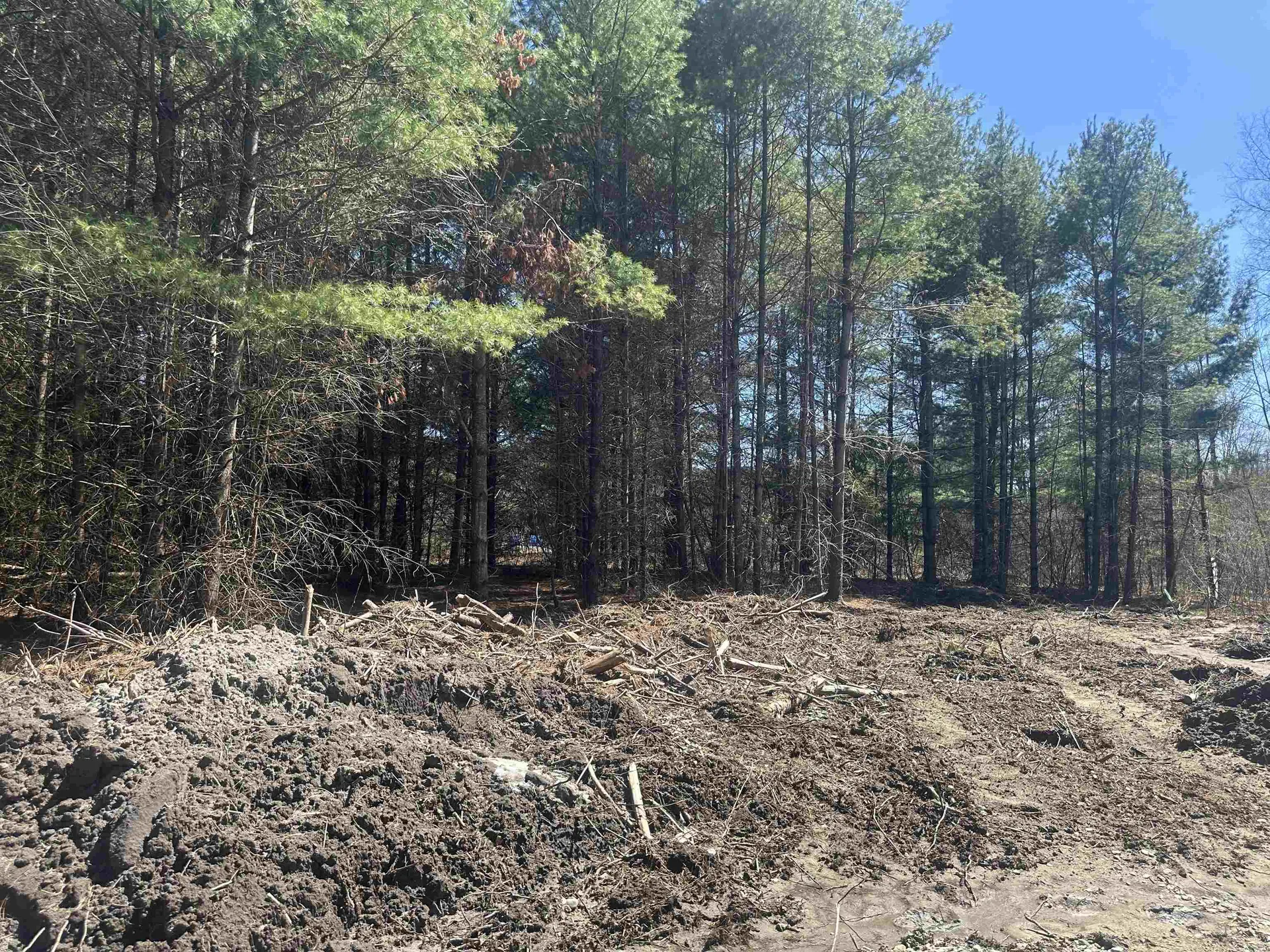 9 Rydon Acres Brandon VT 05753