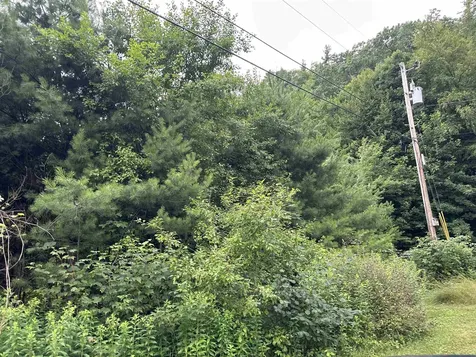 9 Rydon Acres Brandon VT 05753