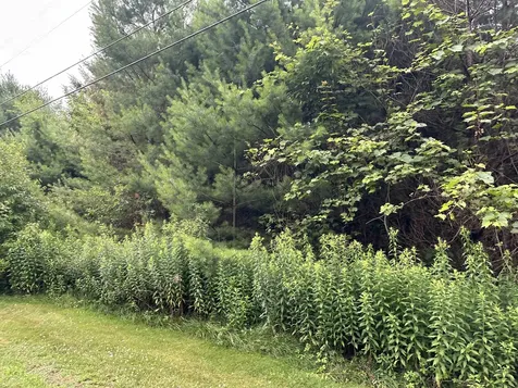 9 Rydon Acres Brandon VT 05753