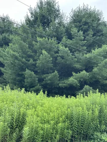 9 Rydon Acres Brandon VT 05753