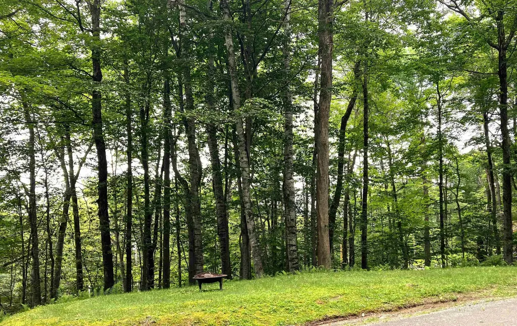 22 Lower Howes Road Wilmington VT 05363