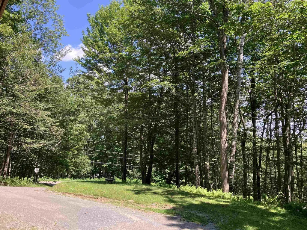 22 Lower Howes Road Wilmington VT 05363