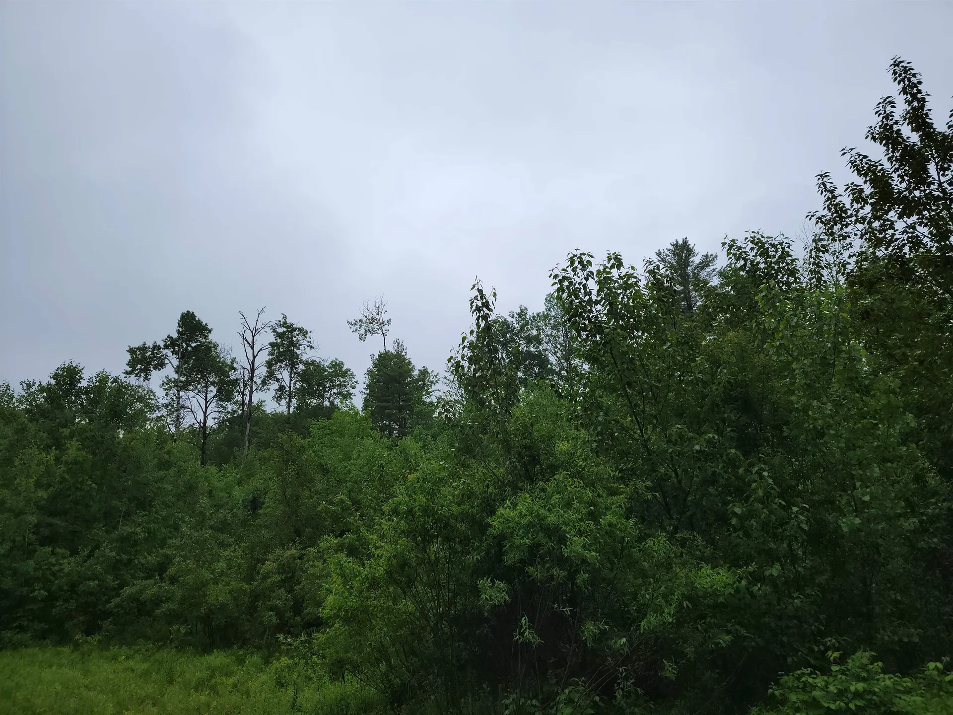 105 Alpenhof Road Bethlehem NH 03574