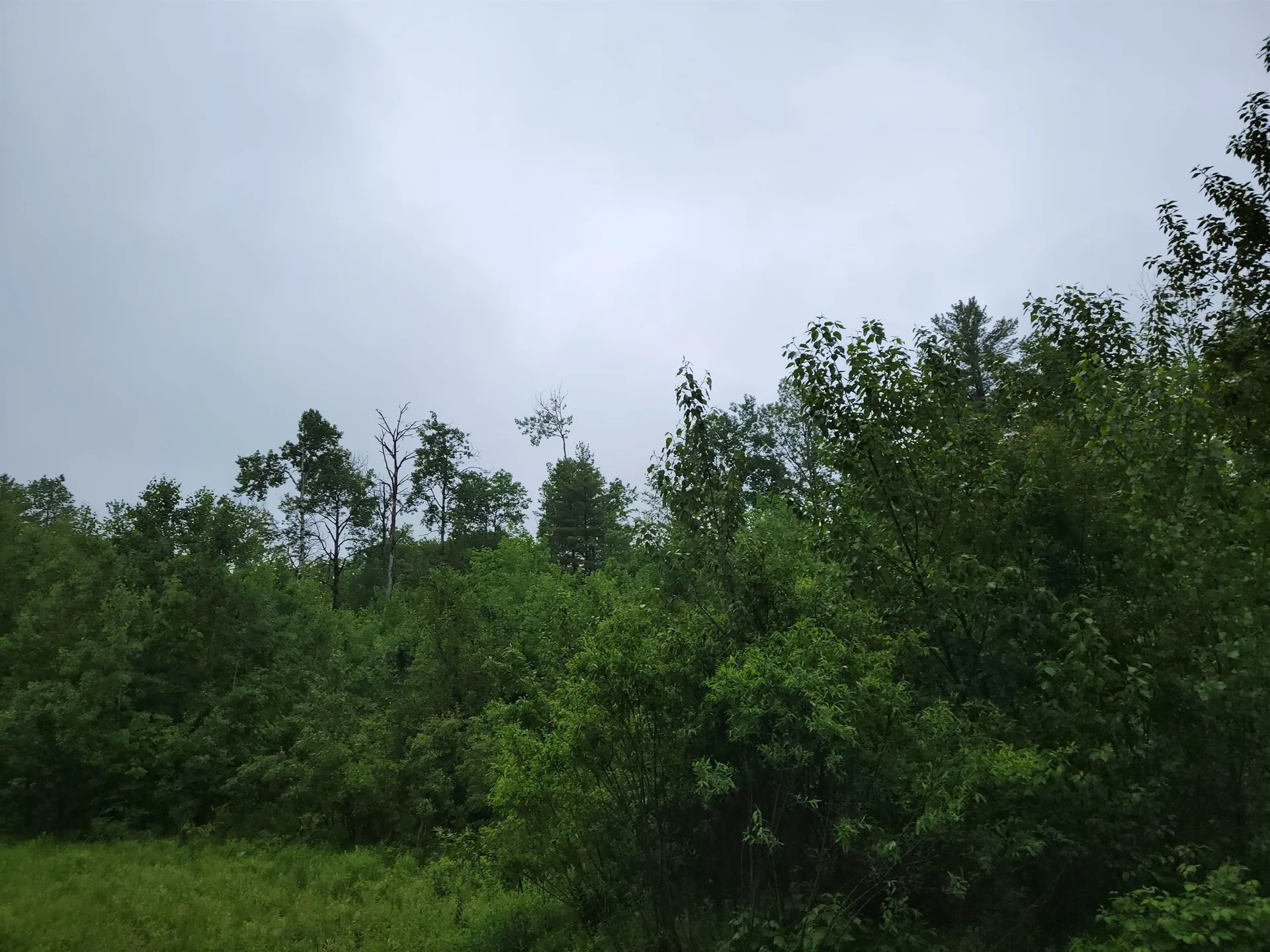 105 Alpenhof Road Bethlehem NH 03574