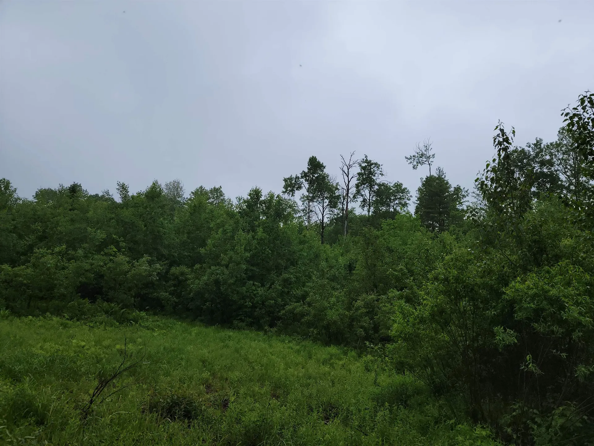 105 Alpenhof Road Bethlehem NH 03574