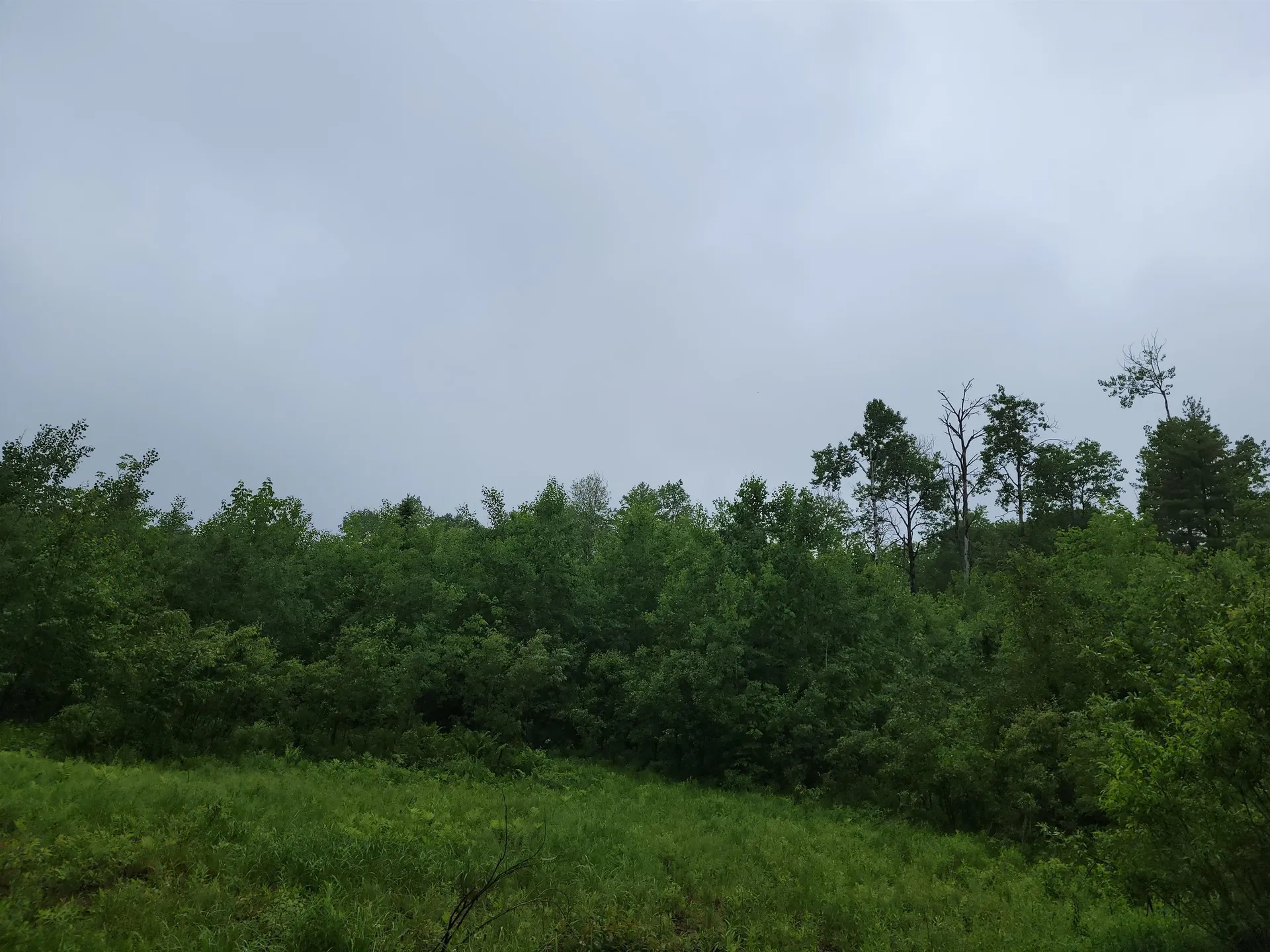 105 Alpenhof Road Bethlehem NH 03574