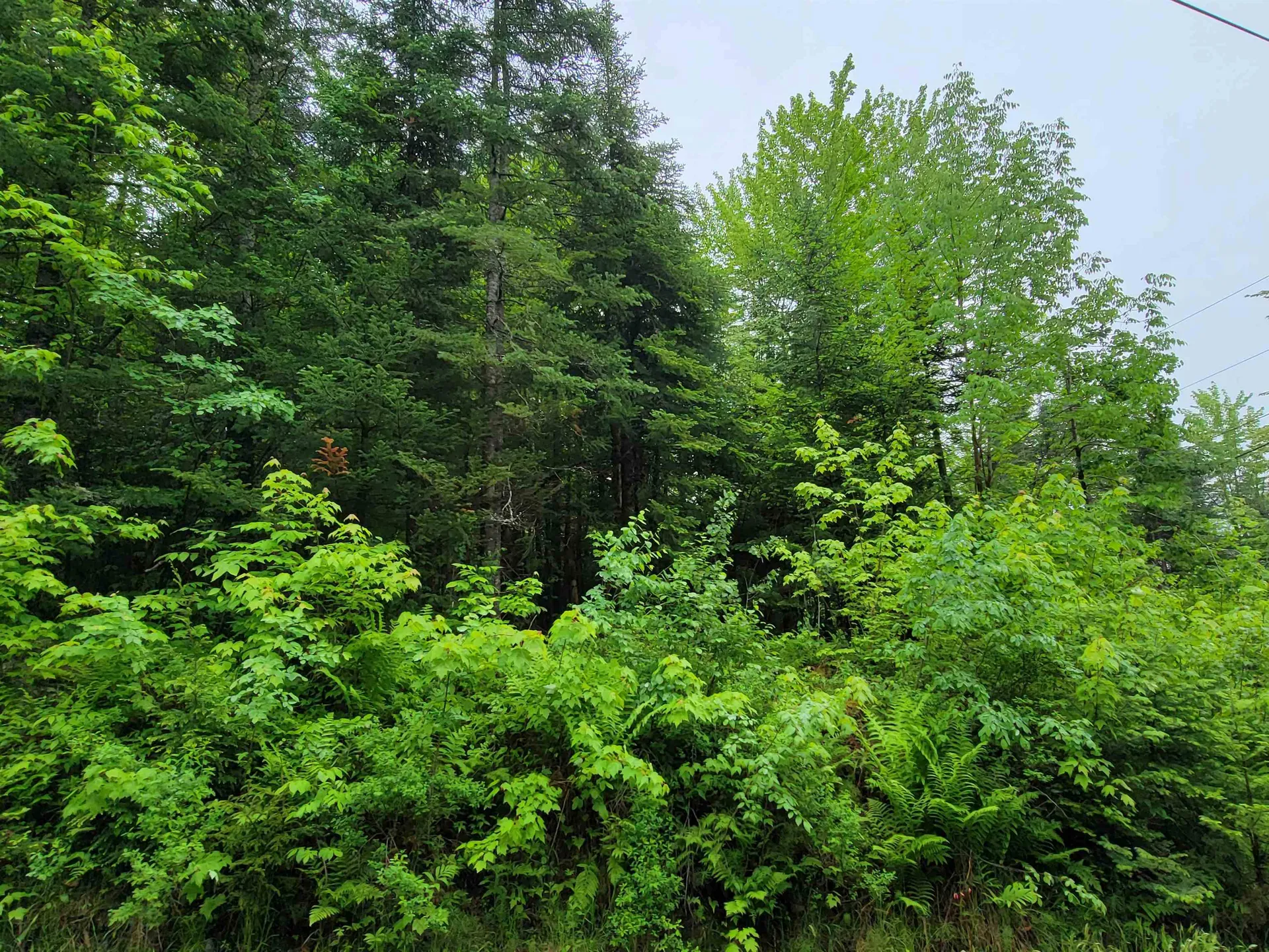 105 Alpenhof Road Bethlehem NH 03574