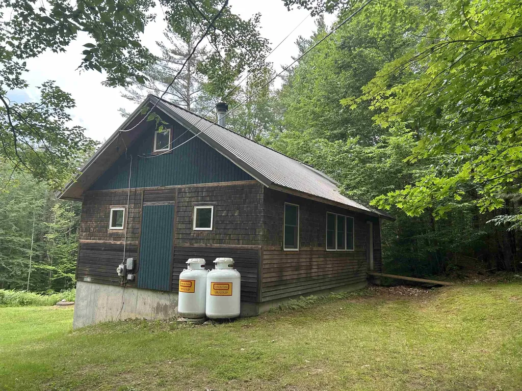 596 Malagash Road Reading VT 05062