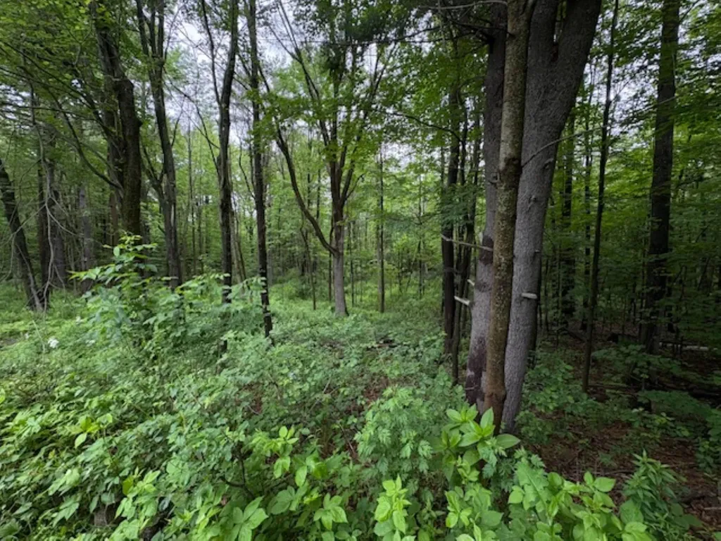 43 Appleton Road New Ipswich NH 03071