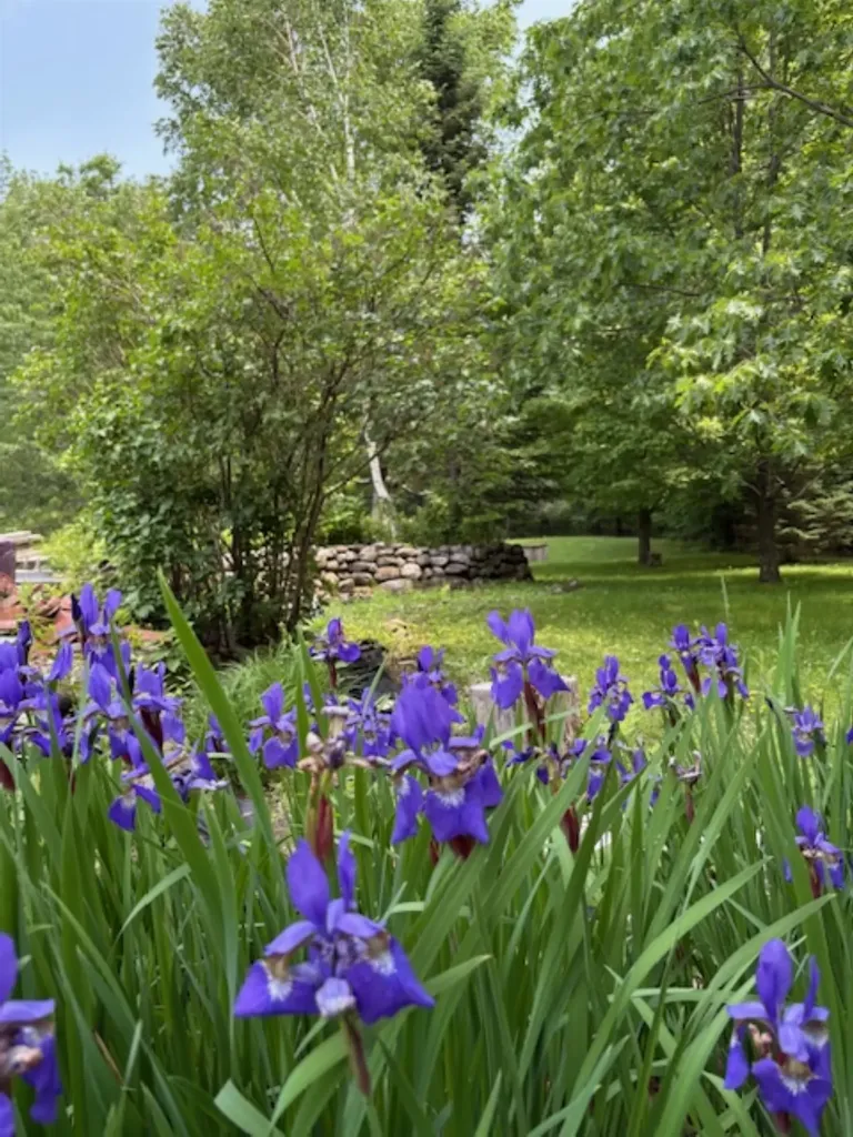 43 Appleton Road New Ipswich NH 03071