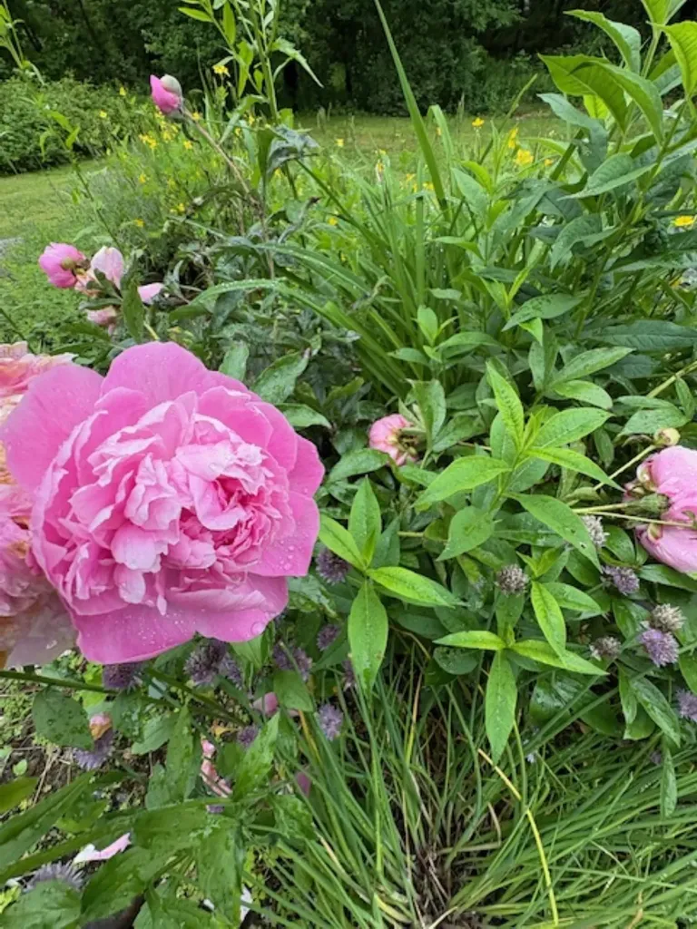 43 Appleton Road New Ipswich NH 03071