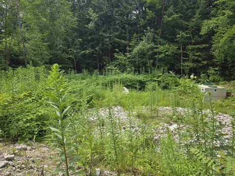 32 Deerpoint Drive Hillsborough NH 03244