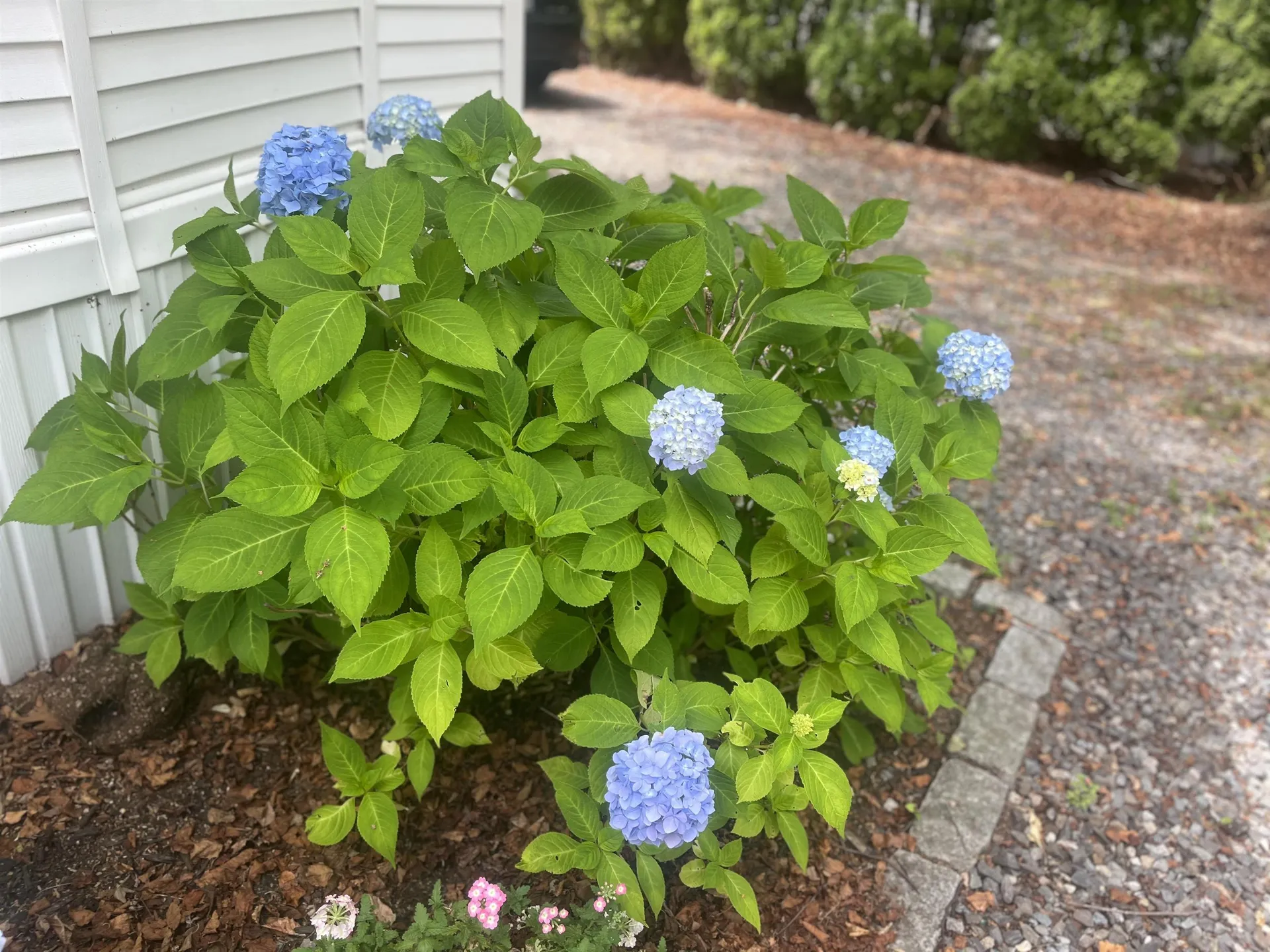 308 Route 286 Road Seabrook NH 03848