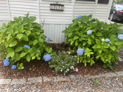 308 Route 286 Seabrook NH 03848