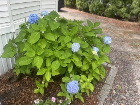 308 Route 286 Seabrook NH 03848