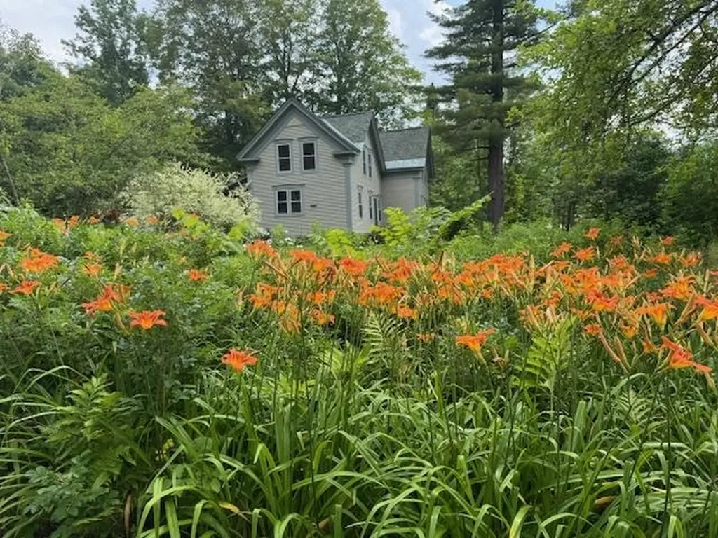 565 Main Street Warren VT 05674