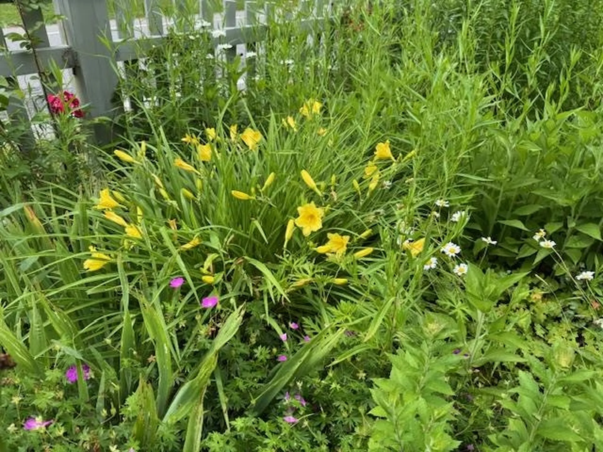 565 Main Street Warren VT 05674