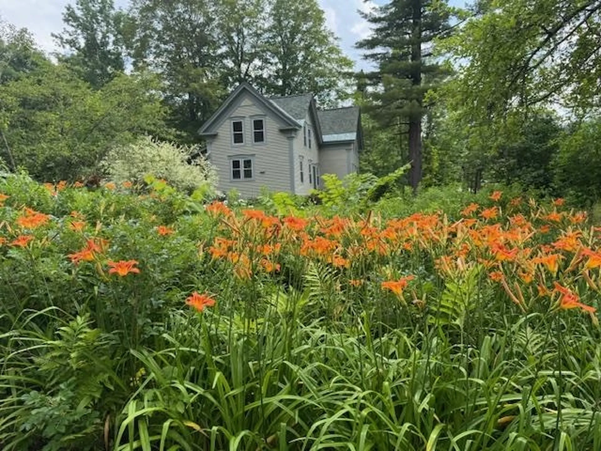 565 Main Street Warren VT 05674