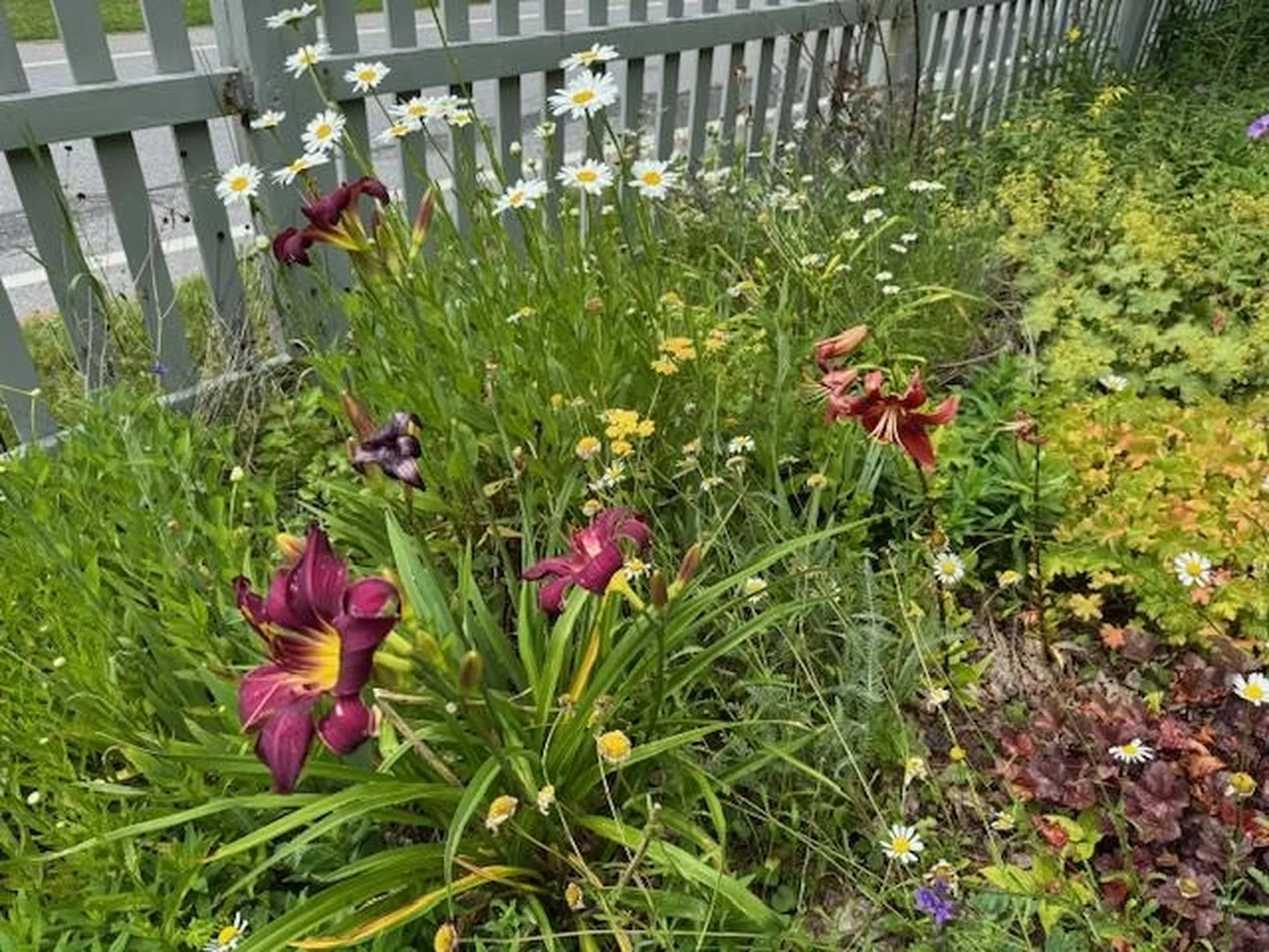 565 Main Street Warren VT 05674