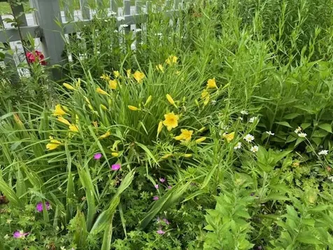 565 Main Street Warren VT 05674