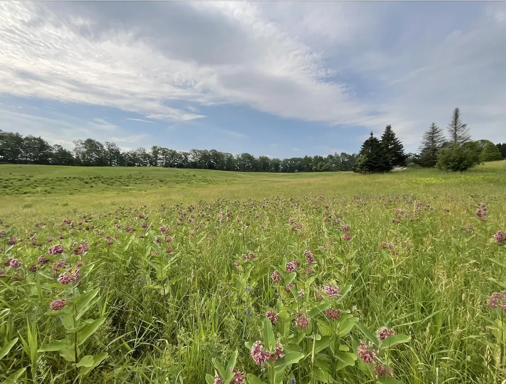 51 Loveland Road Norwich VT 05055