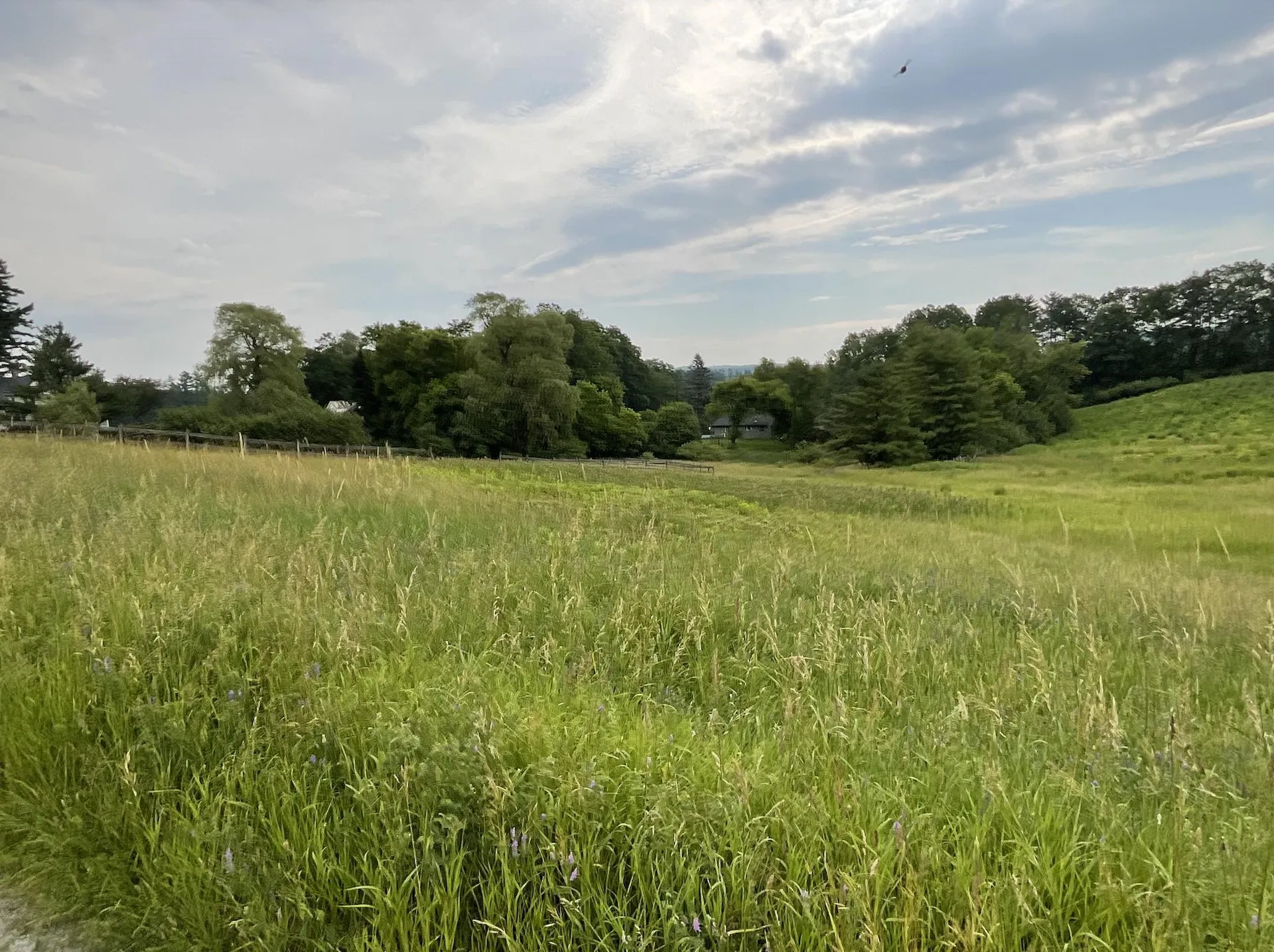 51 Loveland Road Norwich VT 05055