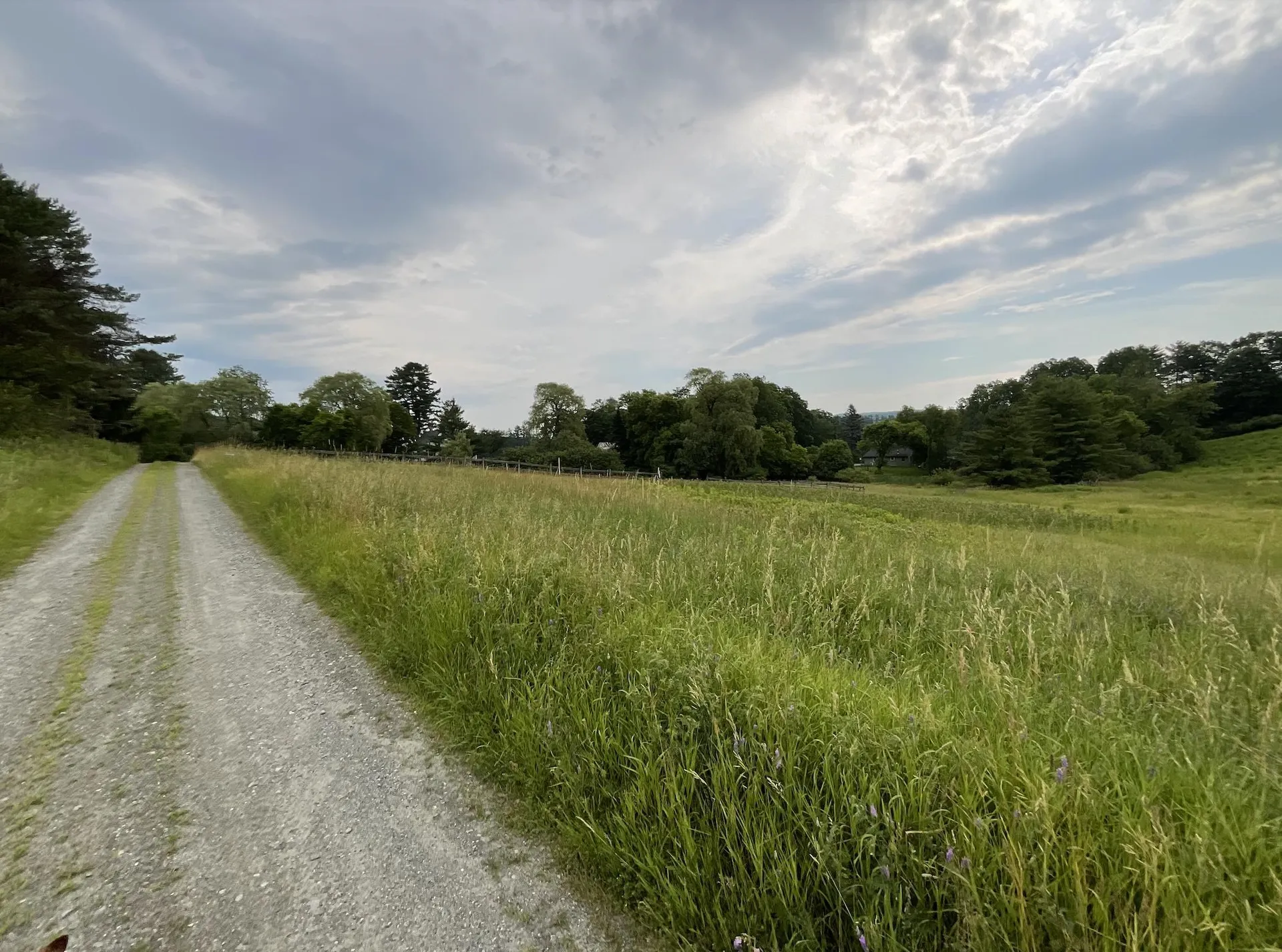 51 Loveland Road Norwich VT 05055