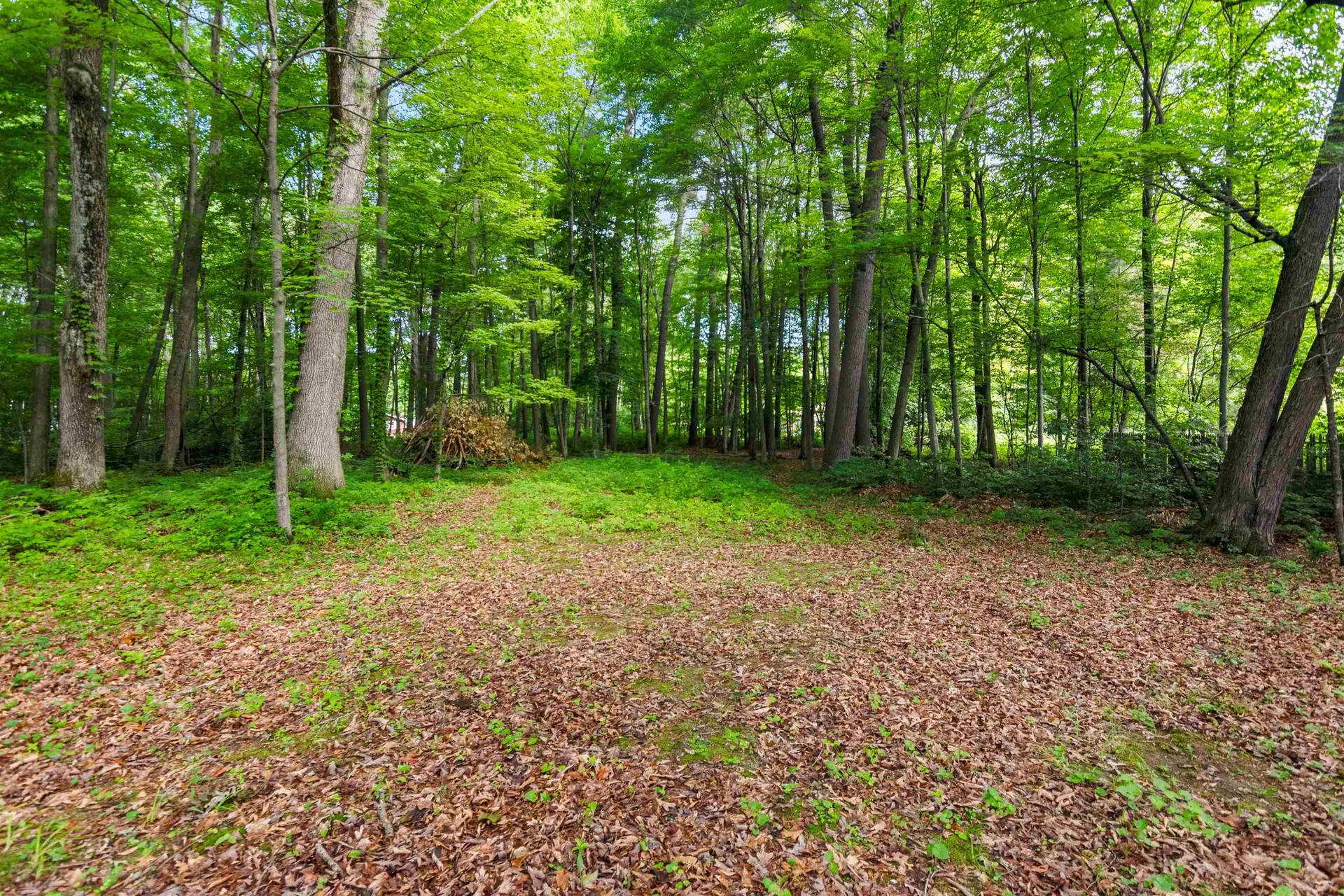 184 Colchester Point Road Colchester VT 05446