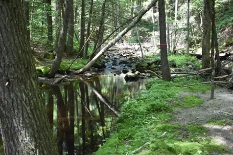 257 Rowentown Road Wentworth NH 03282