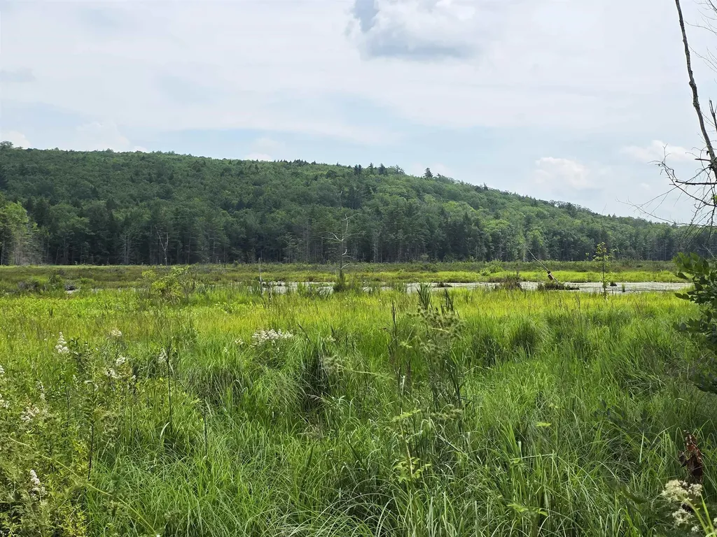0 Reed Carr Road Antrim NH 03440