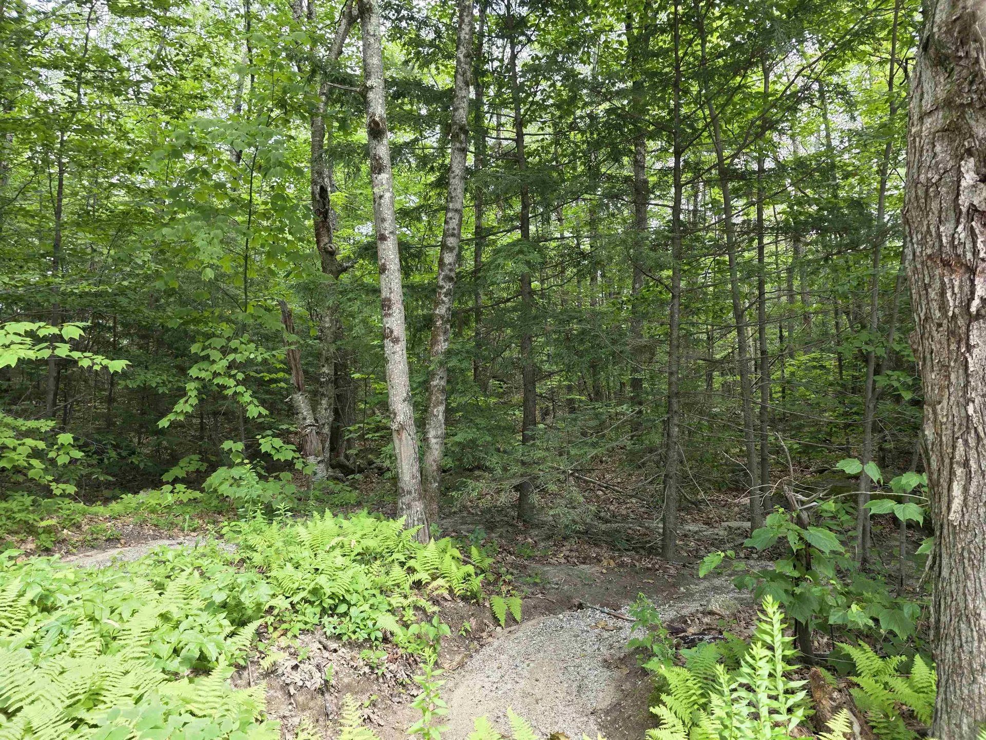 0 Reed Carr Road Antrim NH 03440