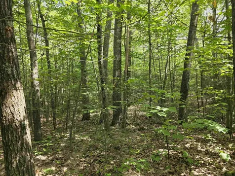 0 Reed Carr Road Antrim NH 03440