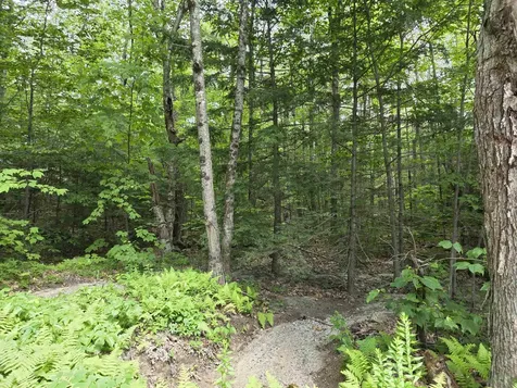 0 Reed Carr Road Antrim NH 03440