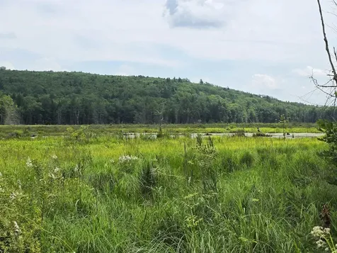 0 Reed Carr Road Antrim NH 03440