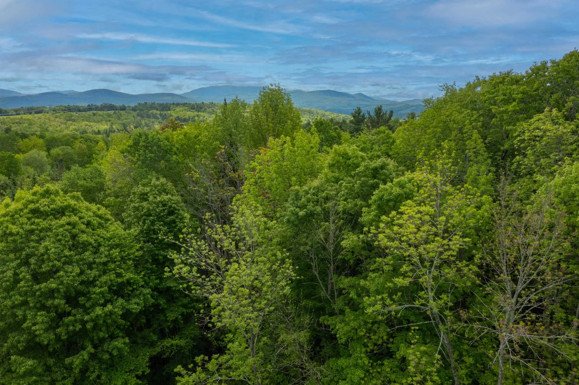 929-933 W Bath Road Bath NH 03740