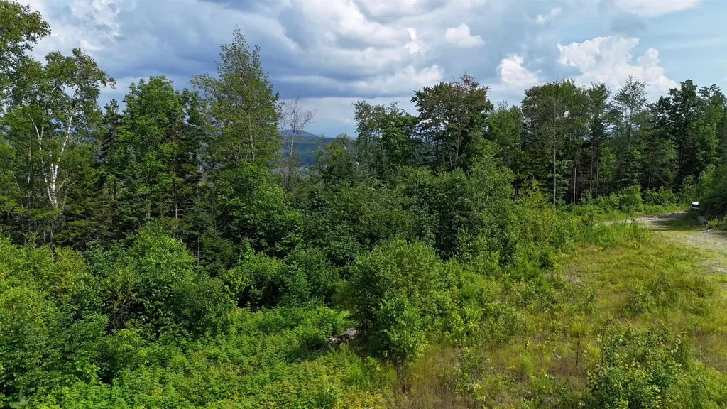 0 Pond Hill Road Lunenburg VT 05906