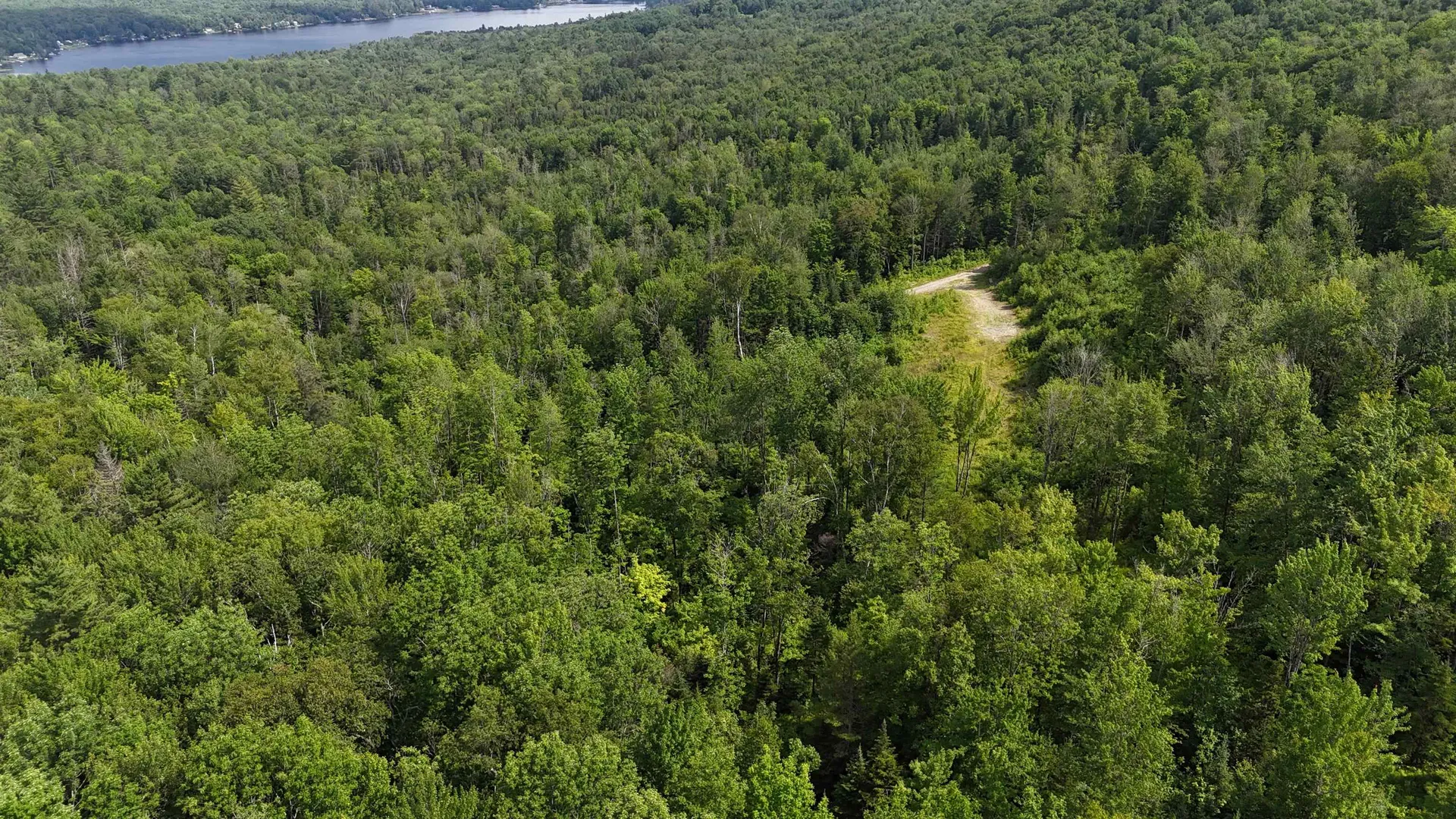 0 Pond Hill Road Lunenburg VT 05906