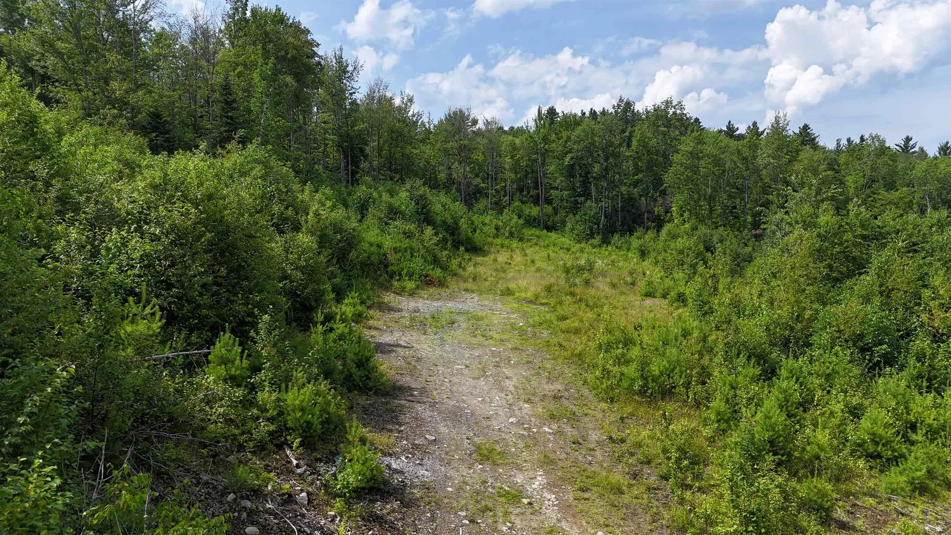 0 Pond Hill Road Lunenburg VT 05906