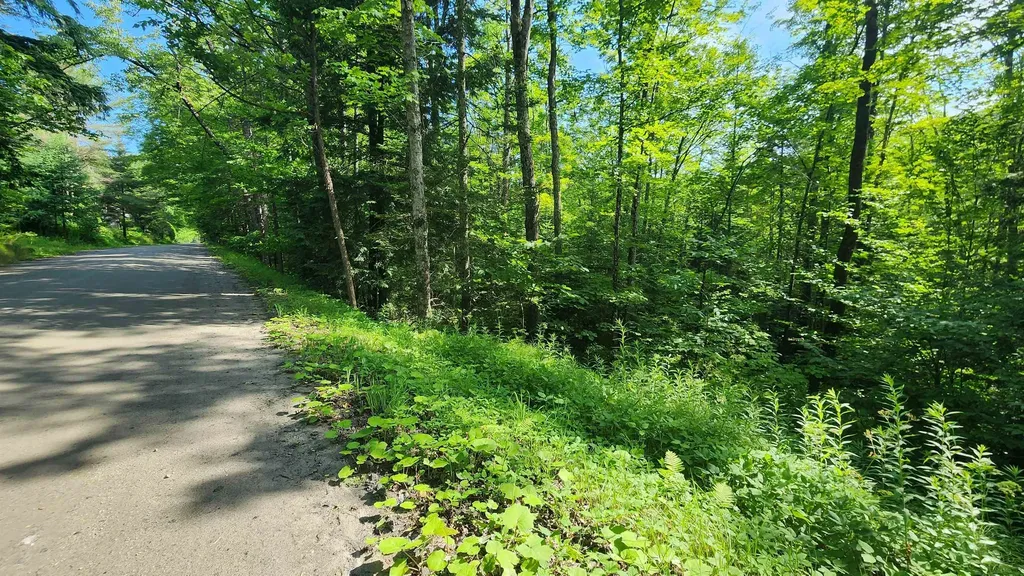 00 Brook Road Chelsea VT 05038